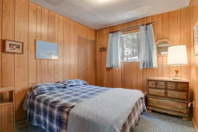 80 Crystal Lane, Lake George, CO 80827 - Photo 27