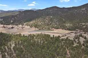 80 Crystal Ln, Lake George, CO 80827 - Photo 39