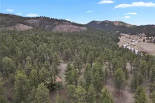 80 Crystal Ln, Lake George, CO 80827 - Photo 47