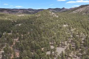 80 Crystal Ln, Lake George, CO 80827 - Photo 35