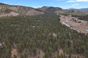 80 Crystal Ln, Lake George, CO 80827 - Photo 41