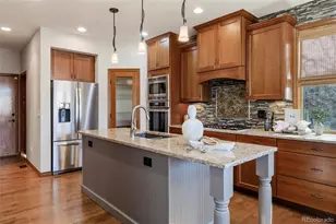 9233 Princeton St, Highlands Ranch, CO 80130 - Photo 15