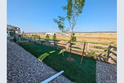 8644 Pennycress Drive, Littleton, CO 80125 - Photo 39