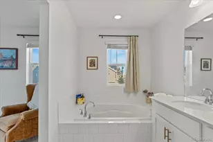 9790 Mount Kataka Point, Littleton, CO 80125 - Photo 25