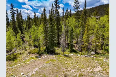 522 Quartzville Road, Alma, CO 80420 - Photo 23