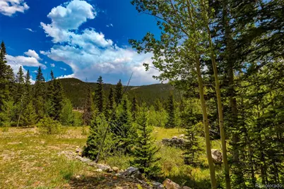 522 Quartzville Road, Alma, CO 80420 - Photo 1