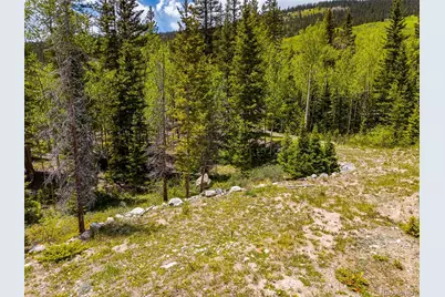 522 Quartzville Road, Alma, CO 80420 - Photo 25