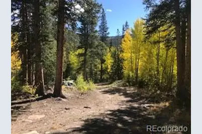 522 Quartzville Road, Alma, CO 80420 - Photo 35