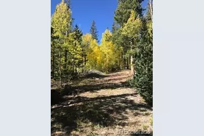 522 Quartzville Road, Alma, CO 80420 - Photo 39