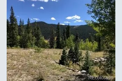 522 Quartzville Road, Alma, CO 80420 - Photo 41