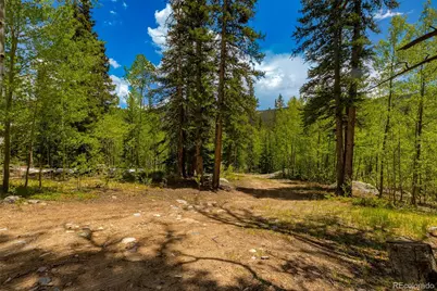522 Quartzville Road, Alma, CO 80420 - Photo 27