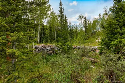 522 Quartzville Road, Alma, CO 80420 - Photo 31
