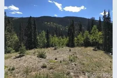 522 Quartzville Road, Alma, CO 80420 - Photo 45