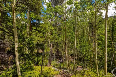 522 Quartzville Road, Alma, CO 80420 - Photo 19