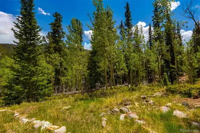 522 Quartzville Road, Alma, CO 80420 - Photo 15