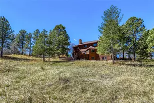 6218 Northstar Ridge Ln, Parker, CO 80134 - Photo 39