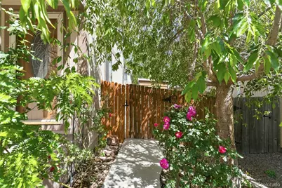 8038 Clay Street, Westminster, CO 80031 - Photo 3