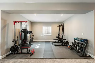 8480 Arapahoe Peak Street, Littleton, CO 80125 - Photo 39
