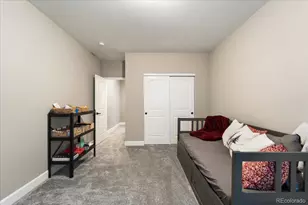 8480 Arapahoe Peak St, Littleton, CO 80125 - Photo 41
