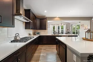 8480 Arapahoe Peak St, Littleton, CO 80125 - Photo 13
