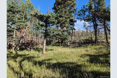 2127 Sigler Drive, Fort Garland, CO 81133 - Photo 11