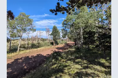 2127 Sigler Drive, Fort Garland, CO 81133 - Photo 3