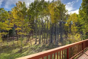 11800 S Ridge Rd, Conifer, CO 80433 - Photo 3