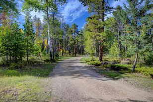 11800 S Ridge Rd, Conifer, CO 80433 - Photo 33