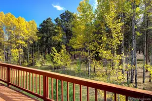 11800 S Ridge Rd, Conifer, CO 80433 - Photo 11