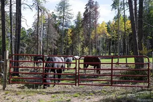 11800 S Ridge Rd, Conifer, CO 80433 - Photo 31