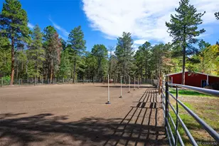 11800 S Ridge Rd, Conifer, CO 80433 - Photo 29