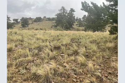 901 Elkhorn View Drive, Como, CO 80432 - Photo 15