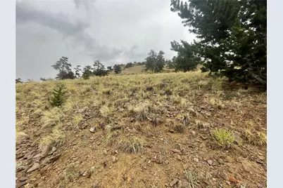 901 Elkhorn View Drive, Como, CO 80432 - Photo 13