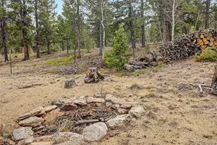 76 Highlands Dr, Bailey, CO 80421 - Photo 39