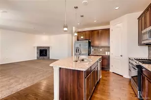 14822 Vienna Cir, Parker, CO 80134 - Photo 9