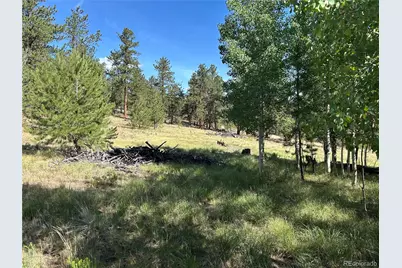 519 Hayhook Way, Hartsel, CO 80449 - Photo 3