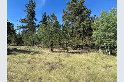 519 Hayhook Way, Hartsel, CO 80449 - Photo 5