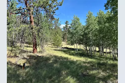 519 Hayhook Way, Hartsel, CO 80449 - Photo 9