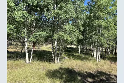 519 Hayhook Way, Hartsel, CO 80449 - Photo 13