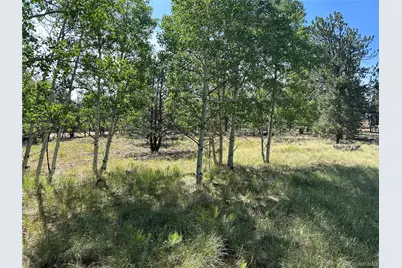 519 Hayhook Way, Hartsel, CO 80449 - Photo 1