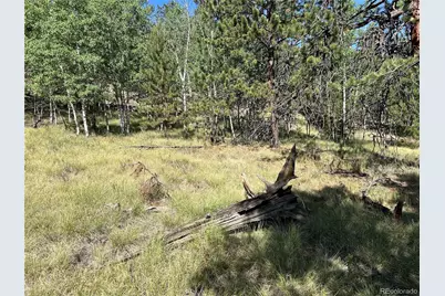 519 Hayhook Way, Hartsel, CO 80449 - Photo 11