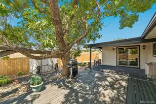 8831 Monroe St, Denver, CO 80229 - Photo 23