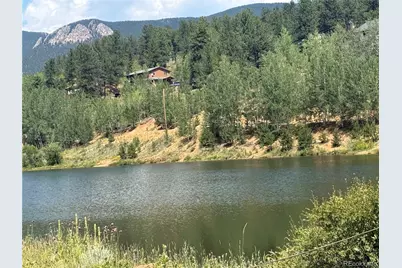 63 Fitzsimmons Road, Bailey, CO 80421 - Photo 3