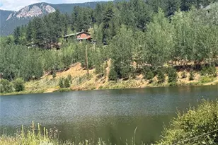 63 Fitzsimmons Rd, Bailey, CO 80421 - Photo 3