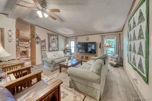 115 Arapahoe Rd, South Fork, CO 81154 - Photo 9