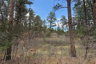 4885 Red Rock Dr, Larkspur, CO 80118 - Photo 1