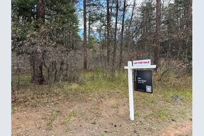 4885 Red Rock Drive, Larkspur, CO 80118 - Photo 3