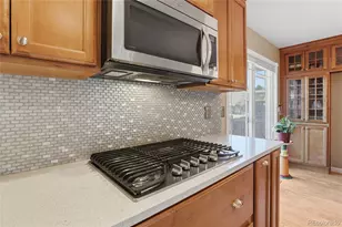 111 Elm Ave, Castle Rock, CO 80104 - Photo 9