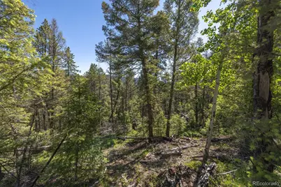 00 Ponderosa Drive, Conifer, CO 80433 - Photo 11