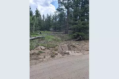 865 Okmulgee Circle, Red Feather Lakes, CO 80545 - Photo 7